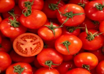 Pomidorun sağlamlıq üçün gözlənilməz faydaları  