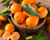 Hər axşam bir mandarin yeyin...