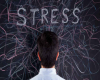 Stress hormonunu azaldan 6 təbii məhsul