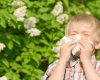 Yaz allergiyası zamanı özünüzü daha yaxşı hiss etməyin yolları açıqlanıb