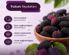 Tutun faydaları