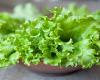 Kahını yalnız salat kimi istifadə etmək lazım deyil