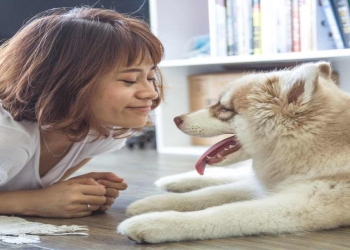 Əgər ev heyvanlarına allergiyanız varsa, bunu oxuyun