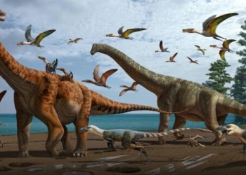 Günümüzdə dinozavrlar harada qalmış ola bilər?