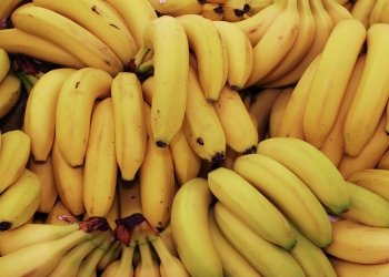 Ekspertlərin super-qida adlandırdığı məhsul