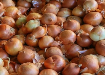 Ukraynada soğanın qiyməti bir ayda 32 faiz artdı