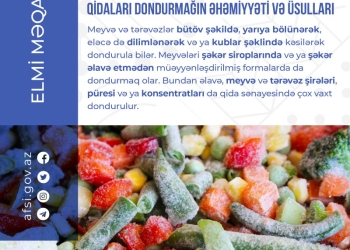 Qidaları dondurmağın əhəmiyyəti və üsulları