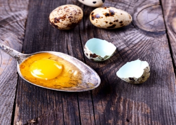 Bildirçin yumurtasının qidalanmada önəmi nədir?
