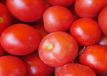 Adi pomidorları ağız dadlı qəlyanaltıya necə çevirmək olar?