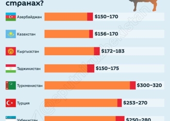 Qurban kəsilən ölkələrdə qoyunların qiyməti: Azərbaycan neçəncidir?