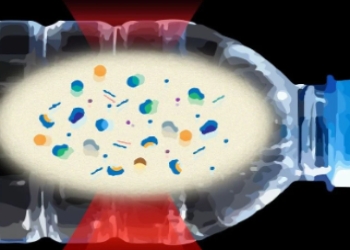 Ekoloqdan nanoplastikin dəhşətli təhlükəsi barədə XƏBƏRDARLIQ