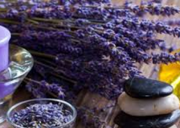 Lavanda yağının saçlara faydası