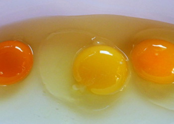 Hansı yumurta sarısı daha sağlamdır - parlaq və ya solğun?