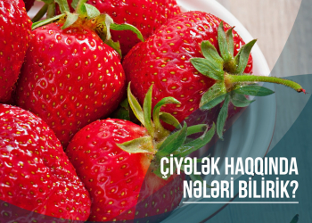 Çiyələk haqqında nələri bilirik?