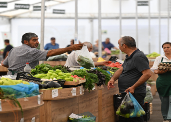 Mövsümlük meyvələr 1 manata, pomidor 1 manat 30 qəpiyədir - REPORTAJ