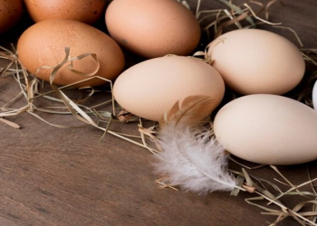 Bu 8 qidanı yumurta ilə yeməyin