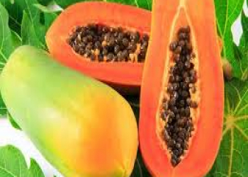 Papaya meyvəsi nələrə faydalıdır?