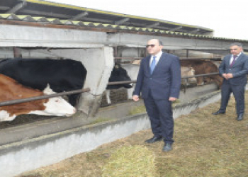 AKİA sədri Zərdabda vətəndaşları qəbul edib, təsərrüfatlara baş çəkib