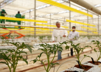 “Qida təhlükəsizliyi tək dövlətin deyil, hər kəsin işidir” çağırış kampaniyası davam edir