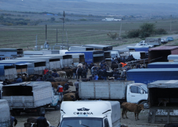 Heyvan bazarlarında zəruri infrastruktur təmin edildikdən sonra fəaliyyətləri bərpa olunacaq