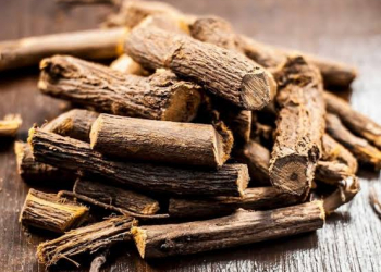 Biyan kökü kimlər üçün uyğun deyil