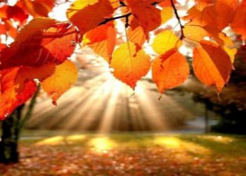 Sabah hava necə olacaq?