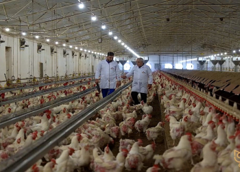 Azərbaycan Quş Əti, Yumurta İstehsalçıları və İxracatçıları Assosiasiyası “Qida təhlükəsizliyi tək dövlətin deyil, hər kəsin işidir” təşəbbüsünü dəstəkləyir