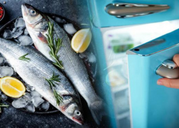 Çiy balıqların düzgün saxlanılmaması sağlamlıq üçün təhlükəlidir