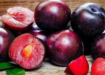 Bağırsaq fəaliyyətini tənzimləyən 4 əsas qida