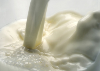 Süd məhsulları bitki mənşəli alternativlərlə əvəz oluna bilər