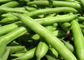 Paxlanın qaz yaratmaması üçün nə etməli?