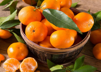 Gündə 2 ədəd mandarinin sağlamlığa faydaları...