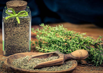 Kəklikotunun FAYDALARI