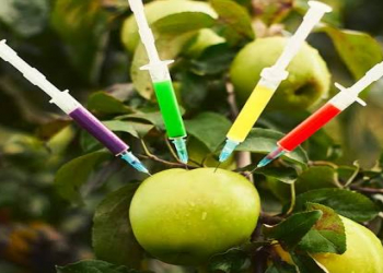 Ən çox pestisid ehtiva edən meyvə-tərəvəzlər