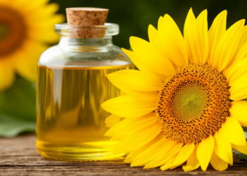 Fərqli bitki yağlarını rasiona əlavə edin – dietoloq məsləhət verir