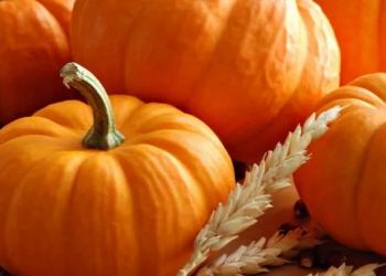 Balqabağı nəcə bişirmək olar? - 3 SİRR