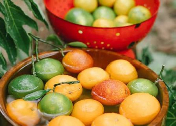 Orqanizmi təmizləyən təbii güclər