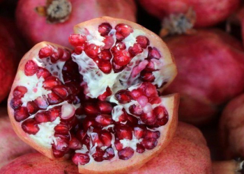 Nardakı ağ pərdə özü qədər faydalıdır