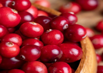 Acı dadlı qidalar beynin fəaliyyətini gücləndirir