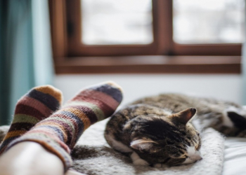 Alimlər təzyiqi aşağı salan yuxu modelini açıqladı