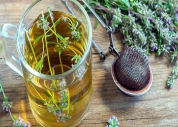 Yuxusuzluğa faydalı kəklikotu çayının möcüzəvi faydaları