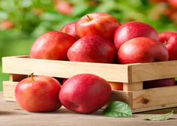 Soyuq günlərdə ağciyərləri qoruyan meyvə açıqlandı