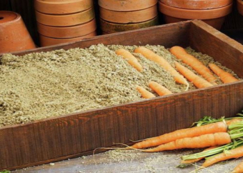 Tərəvəzləri düzgün saxlamaq üçün sadə tövsiyələr