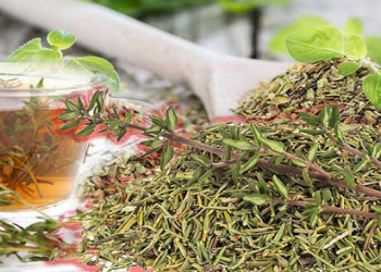 Kəklikotu çayının faydaları