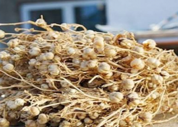 Üzərliyin faydaları nələrdir?