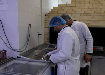 “Dəvə qutabı” ilə bağlı dənizkənarı obyektlərdə reyd keçirilib