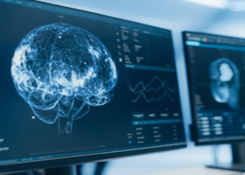 Alimlər stress hormonunun beyin bərpasında mühüm rolunu aşkarlayıblar