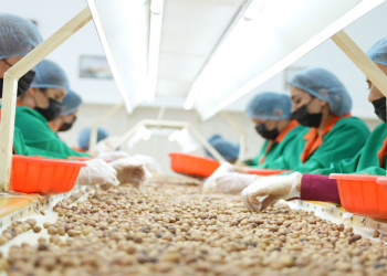 Əhalinin sağlam qidalanmasının təmini – Qida təhlükəsizliyi siyasəti