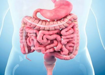 Bağırsaq xəstəlikləri hansılardır?