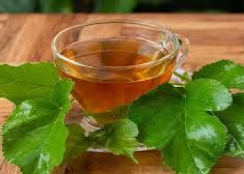 İltihablı qaraciyər üçün təbii bitki